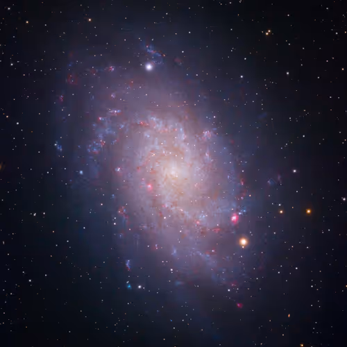 0xd61661b5c1d2d152259ee4d71b4c7568ef63025a